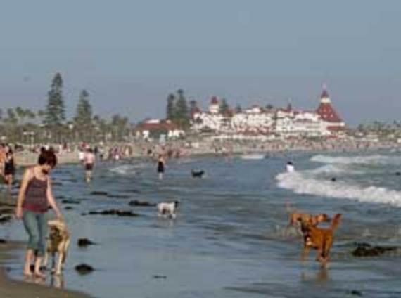 Hillcrest House Bed & Breakfast San Diego Zewnętrze zdjęcie